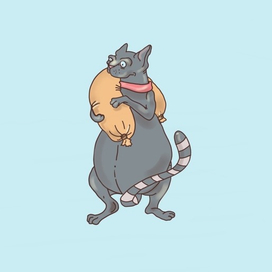 Довольный кот