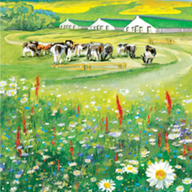 иллюстрация для каталога