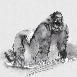 Наброски-разминки энималс