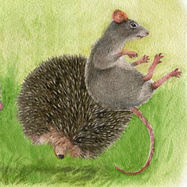 Сражение с крысами