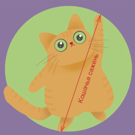 Кошачья сажень 