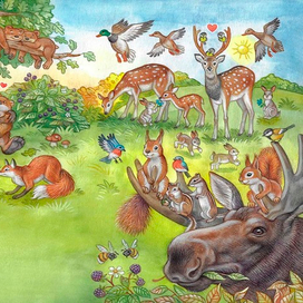 иллюстрация к ниге