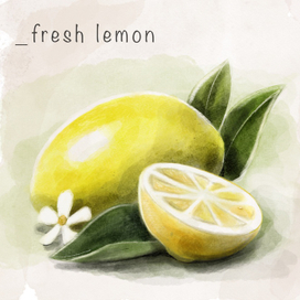 Fresh lemon  for collection aromatic oils 