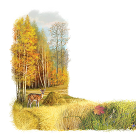 В белорусский учебник по литературе