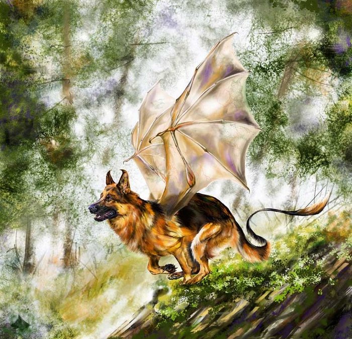 Рыжий дракон