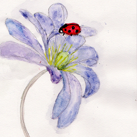 Божья коровка