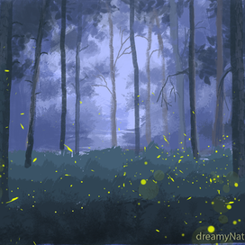 Светлячки в лесу