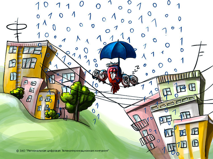 Птыц в интернете