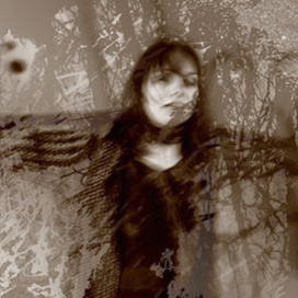 ветки деревьев