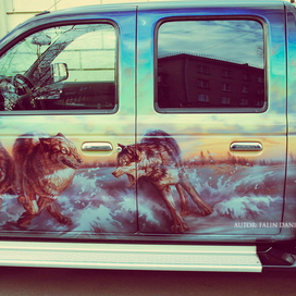 волки аэрография