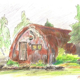 Находка в зарослях