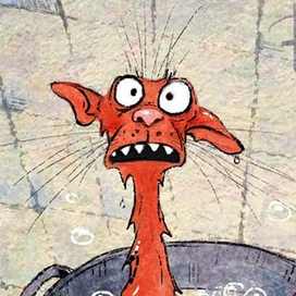 Купание красного кота