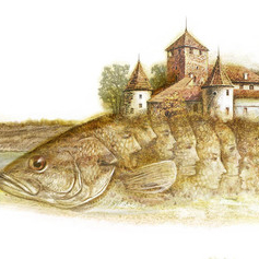 концовка к сказке