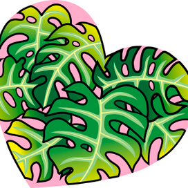 Листья монстеры в розовом сердце