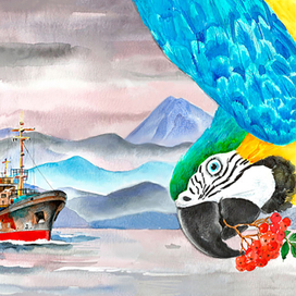 Новая книга о Камчатке