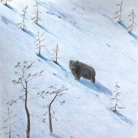 Снежные склоны