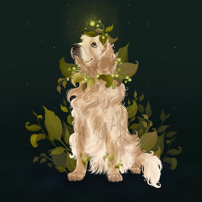 Золотистый ретривер