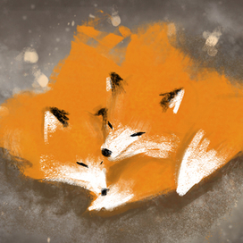 Foxes