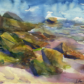 Мшистые камни в отлив