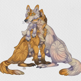 The wolf and the fox