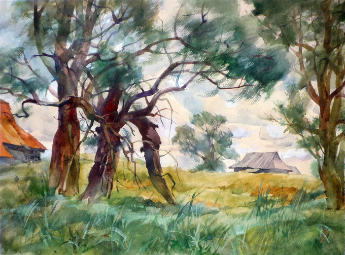 "Тверские мы". Ветла Васи Корявого.