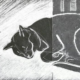 Спят усталые котушки, книжки спят...