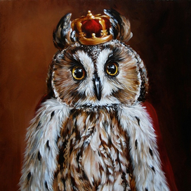 портрет совы