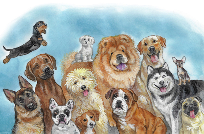 Иллюстрация для книги о собаках, для канадского автора