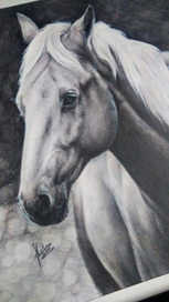 Белая Лошадка