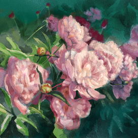 Вечерние пионы.этюд