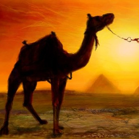 Караван | Нраффити