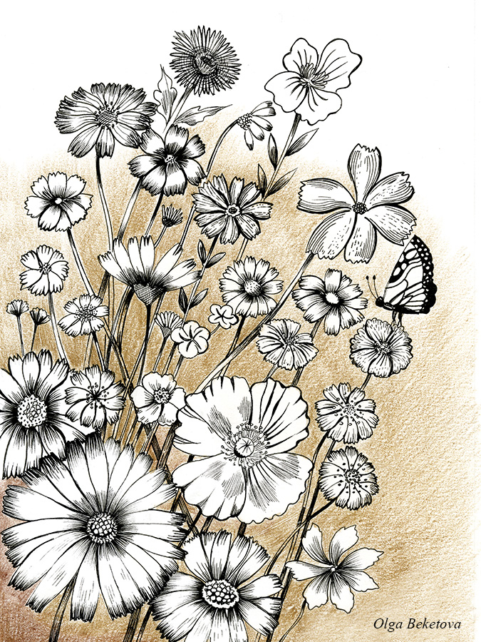 Летние цветы