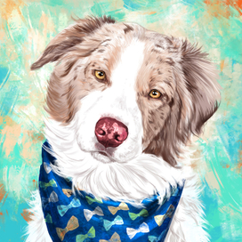 Портрет Аусси