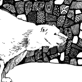 Черным по белому. Прогулка по зоопарку