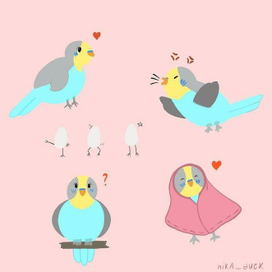 Попугайчики 