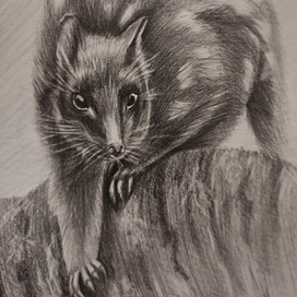 Анималистика