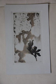 пригласительный