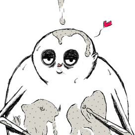 Кашистрастник