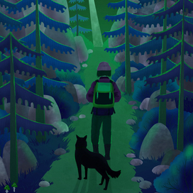 Ночная прогулка