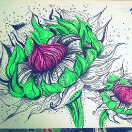 Необычные подсолнухи