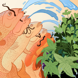 Рыбные эко хозяйства