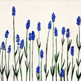 Лавандовая нежность