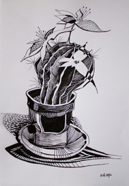 Кактус ищет хозяина