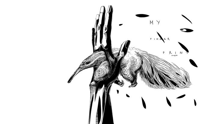 Муравьед насквозь