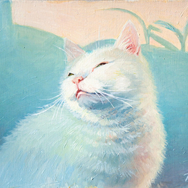 Весенне-утренний кот