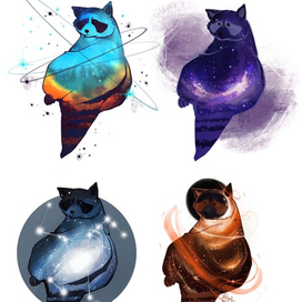 Космические еноты