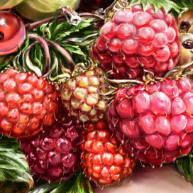 Ветка малины-очень аппетитно