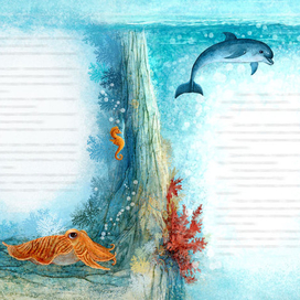 Китенок. Разворот