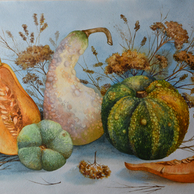 Тыквы 2