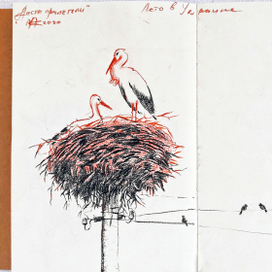 "Аисты прилетели" из серии Лето в Украине 2020г.